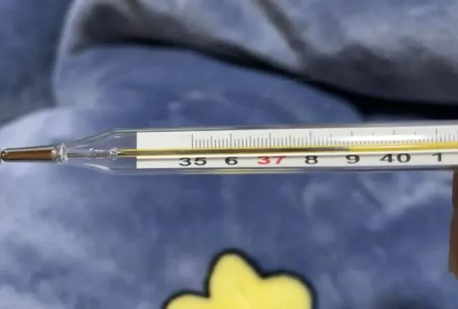 篮球训练营中试训的表现评估方法_0