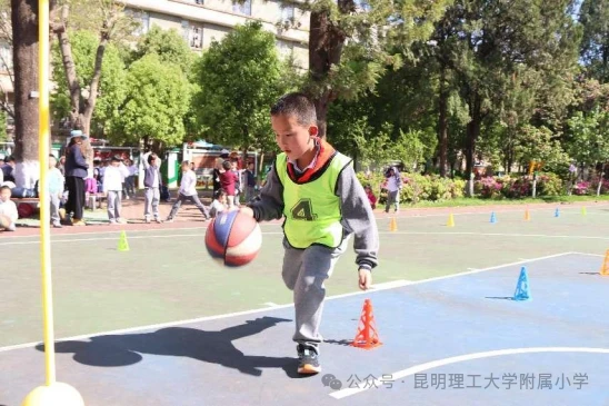 篮球训练营中试训的表现评估方法_1